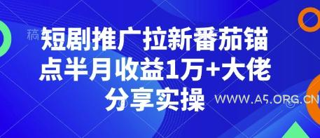 短剧推广拉新番茄锚点半月收益1万+大佬分享实操-A5资源网