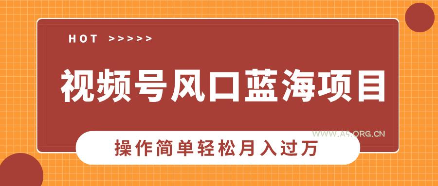 视频号风口蓝海项目，中老年人的流量密码，操作简单轻松月入过万-A5资源网