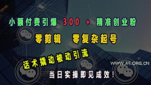 小额付费引爆 300 + 精准创业粉，零剪辑、零复杂起号，话术撬动被动引流，当日实操即见成效-A5资源网