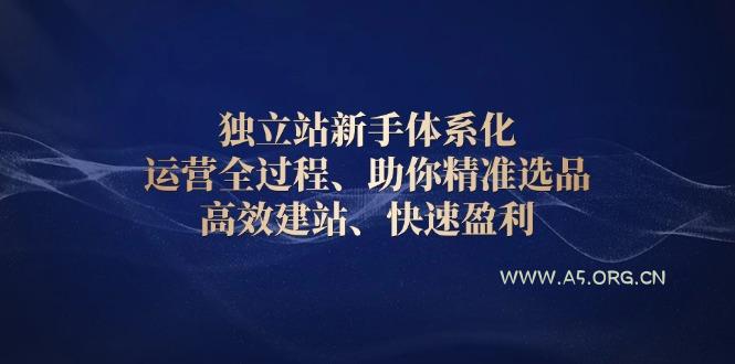 独立站新手体系化 运营全过程，助你精准选品、高效建站、快速盈利-A5资源网