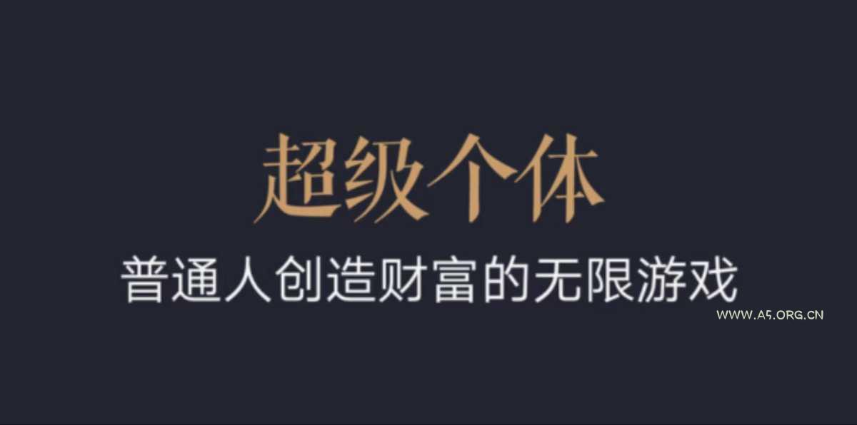 超级个体：2024-2025翻盘指南，普通人创造财富的无限游戏-A5资源网