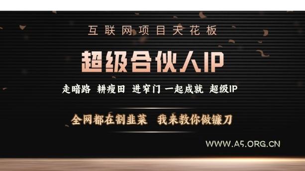 互联网项目天花板，超级合伙人IP，全网都在割韭菜，我来教你做镰刀【仅揭秘】-A5资源网