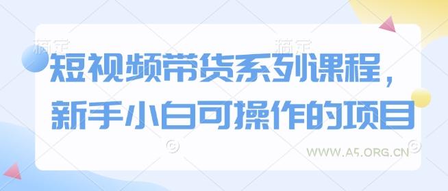 短视频带货系列课程，新手小白可操作的项目-A5资源网