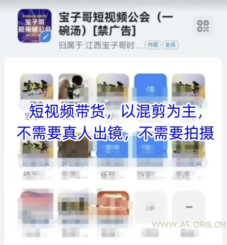 宝子哥头部团队短视频带货，以混剪为主，不需要真人出镜，不需要拍摄【更新9月】-A5资源网