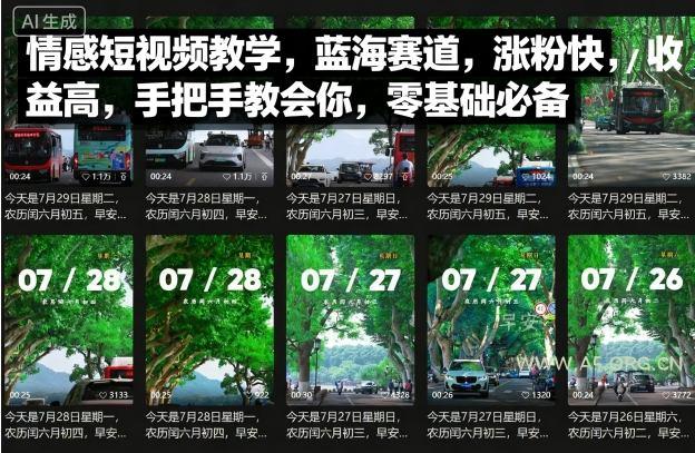 情感短视频教学，蓝海赛道，涨粉快，收益高，手把手教会你，零基础必备-A5资源网