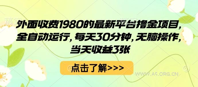 外面收费1980的最新平台撸金项目，全自动运行，每天30分钟，无脑操作，当天收益3张【揭秘】-A5资源网