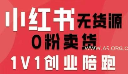 小红书无货源0粉电商课，开店准备、选品策略、笔记撰写、视频剪辑、数据分析、账号打造、资料文档-A5资源网