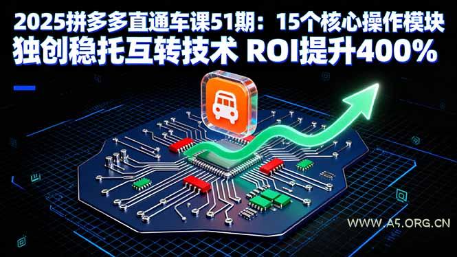 2025拼多多直通车课51期：15个核心操作模块 独创稳托互转技术 ROI提升400%-A5资源网