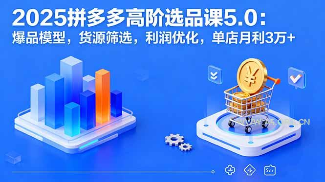 2025拼多多高阶选品课5.0：爆品模型，货源筛选，利润优化，单店月利3万+-A5资源网