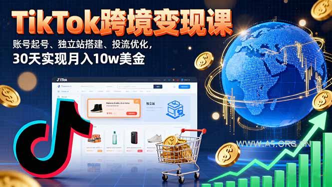 TikTok跨境变现课：账号起号、独立站搭建、投流优化，30天实现月入10w美金-A5资源网