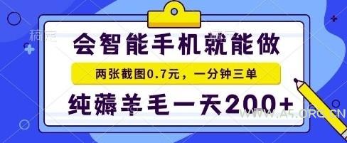 手机项目，二十秒一单，纯薅羊毛一天2张+做就有【揭秘】-A5资源网