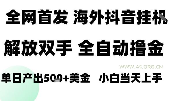 海外抖音无人直播，单日产出1.5k+，长期稳定，新手可玩，无脑操作【揭秘】-A5资源网