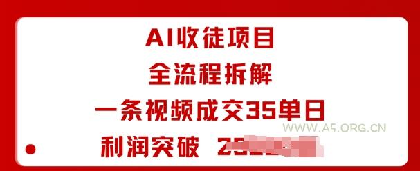 AI收徒项目全流程拆解一条视频成交35单日利润突破1k+-A5资源网