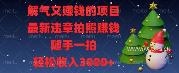 解气又挣钱的项目，最新违章拍照挣钱，随手一拍，轻松收入数张【揭秘】-A5资源网