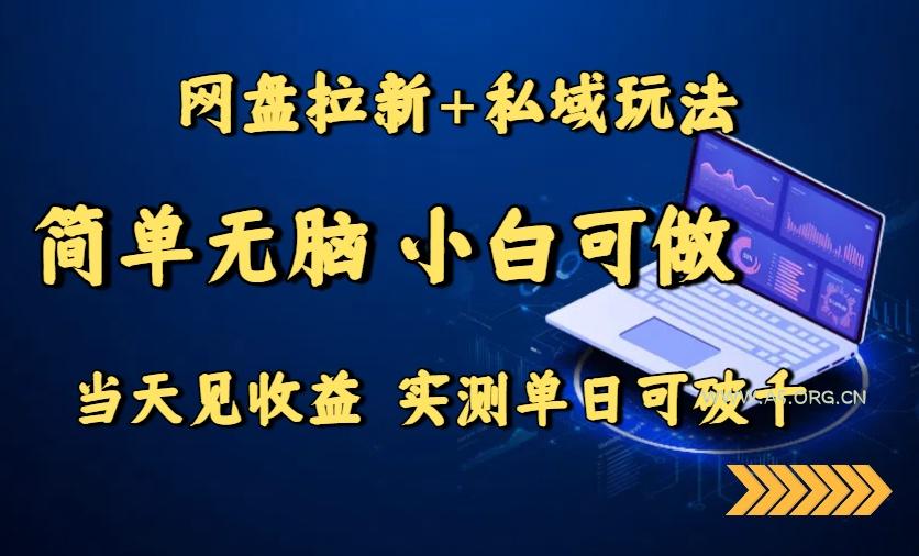 网盘拉新+私域玩法，简单无脑，小白可做，当天见收益，实测单日可破千-A5资源网