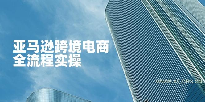 亚马逊跨境电商全流程实操，教你从零开始，掌握店铺运营与广告技巧-A5资源网