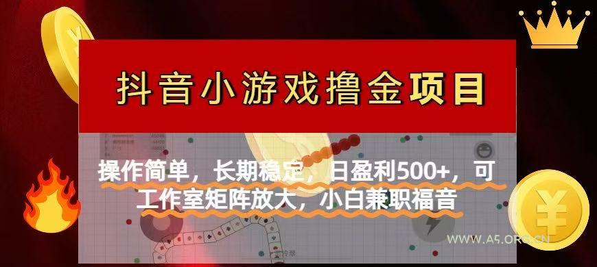 【抖音小游戏发行人计划项目】操作简单，长期稳定，日盈利500+，可工作...-A5资源网