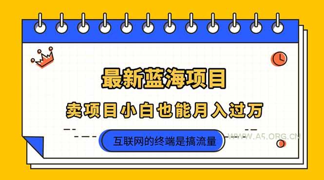 2025年最新蓝海项目，卖项目小白也能月入过万-A5资源网