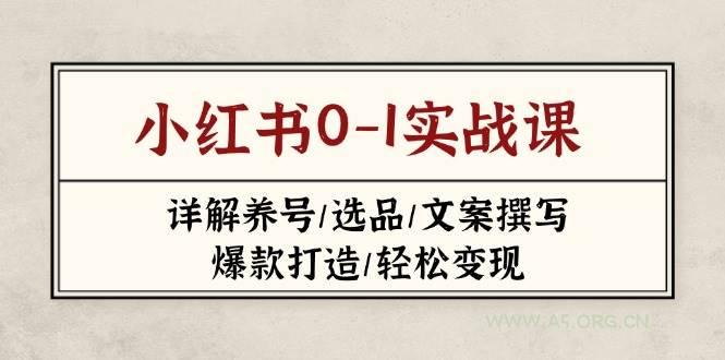 小红书0-1实战课(2023-2025)，详解养号/选品/文案撰写/爆款打造/轻松变现-A5资源网
