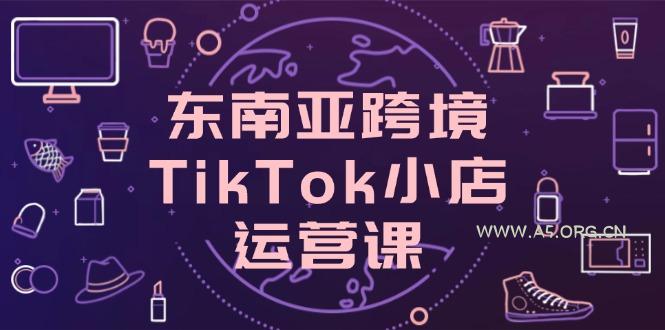 东南亚跨境TikTok小店运营课，掌握店铺设置与流量转化核心技巧-A5资源网
