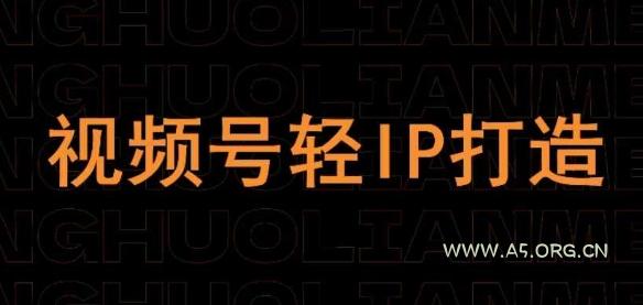 视频号线上课程，视频号轻IP打造-A5资源网
