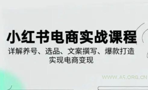 小红书从0-1实操课(2023-2025)，详解养号、选品、文案撰写、爆款打造实现电商变现-A5资源网
