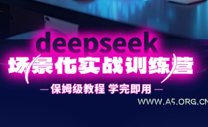一舟老师·deepseek场景化实战训练营-A5资源网