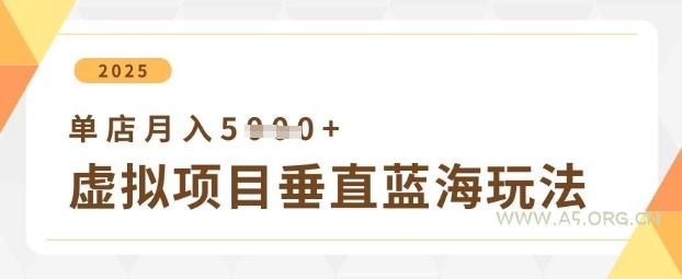 虚拟项目垂直玩法，实现单店月入5k+-A5资源网
