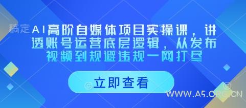 AI高阶自媒体项目实操课，讲透账号运营底层逻辑，从发布视频到规避违规一网打尽-A5资源网