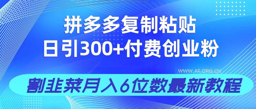 拼多多复制粘贴日引300+付费创业粉，割韭菜月入6位数最新教程！-A5资源网
