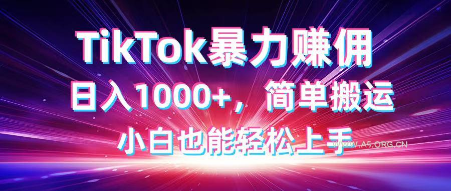TikTok搬运暴力赚佣，日入1000+，简单搬运，小白也能轻松上手-A5资源网