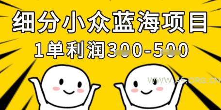 细分小众蓝海项目，一单利润3张，每月收入稳定过1w+-A5资源网