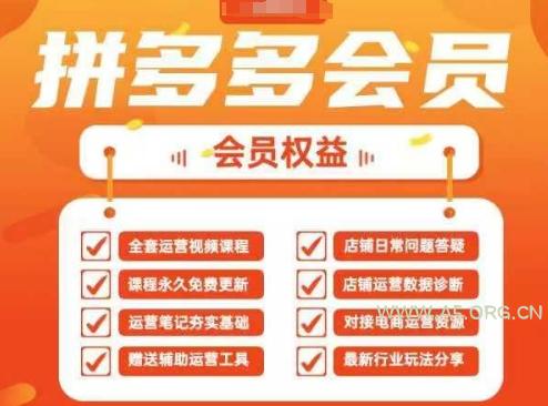 2025拼多多运营实战课，40节全流程教学，覆盖拼多多运营全链路-A5资源网