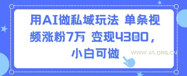 用AI做私域玩法，单条视频涨粉7W变现4.3k，小白可做-A5资源网