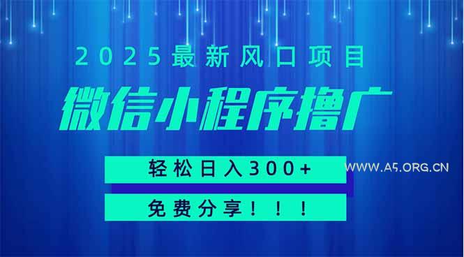 微信小程序撸广，最新风口项目，日入300+ 免费分享 可批量操作 小白可...-A5资源网