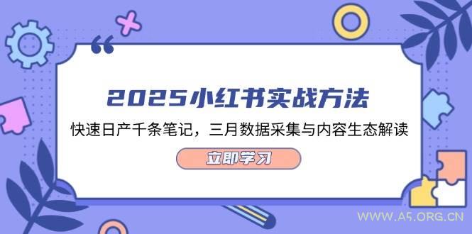 2025小红书实战方法，快速日产千条笔记，三月数据采集与内容生态解读-A5资源网