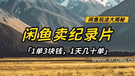 闲鱼卖纪录片1单3块钱，1天几十单，项目稳定有潜力-A5资源网