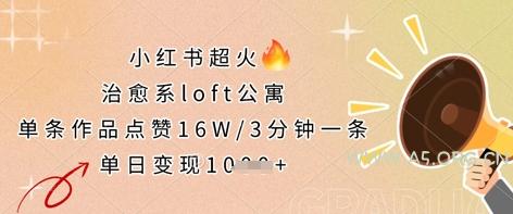 小红书超火的治愈系loft公寓，单条作品点赞16W，3分钟一条，单日变现数张-A5资源网