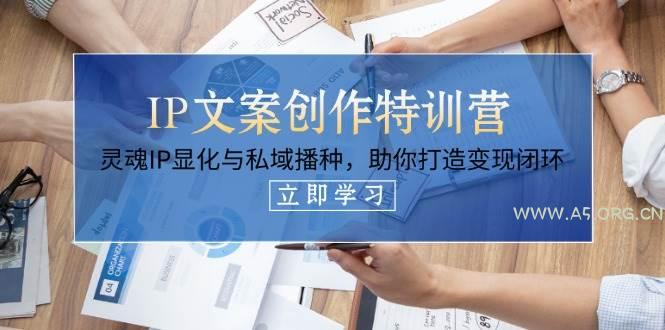 IP文案创作特训营，灵魂IP显化与私域播种，助你打造变现闭环(14节课)-A5资源网