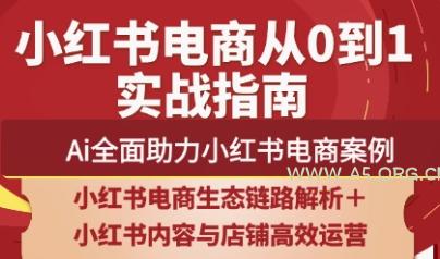 天诺老吴·2025小红书电商全链路运营-A5资源网