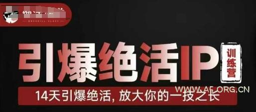 引爆绝活IP训练营，14天引爆绝活，放大你的一技之长-A5资源网