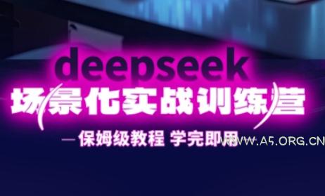 DeepSeek场景化实战训练营，保姆级教程，学完即用，手把手教你用DeepSeek提升效率-A5资源网