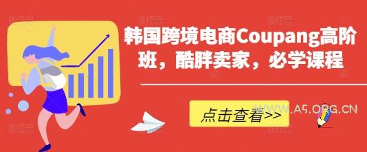韩国跨境电商Coupang高阶班，酷胖卖家，必学课程-A5资源网