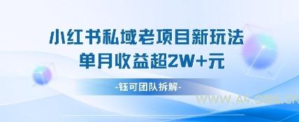 小红书私域项目新玩法，单月变现过W+-A5资源网