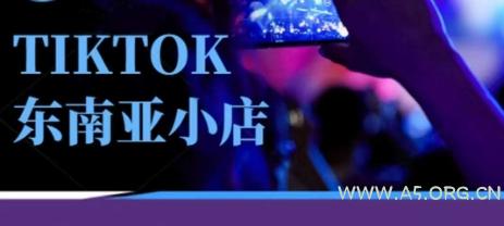 Tiktok东南亚跨境小店运营班，一门专业的TK小店运营培训课-A5资源网