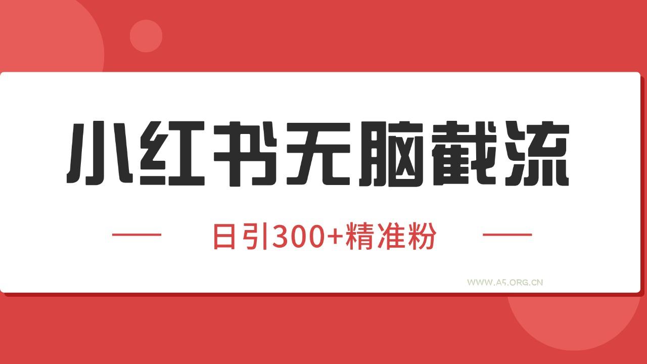 小红书截流同行客源，独家野路子获客玩法 日引200+暴力获客-A5资源网