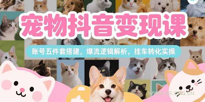 宠物抖音变现课，账号五件套搭建，爆流逻辑解析，挂车转化实操-A5资源网