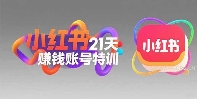 小红书21天赚钱账号特训：黄金定位技巧，高转粉文案创作，科学引流策略-A5资源网