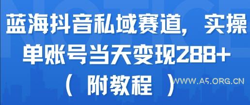 蓝海抖音私域赛道，实操单账号当天变现288+(附教程)-A5资源网
