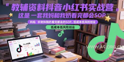 教辅资料抖音小红书实战营，这是一套我妈和我奶看完都会的SOP，低成本低风险创业(更新)-A5资源网